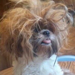 Meet your Posher, Christine